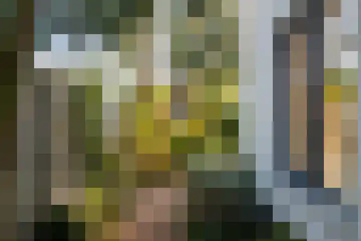 Noorder Jaagpad 15 Muiden thumbnail 16