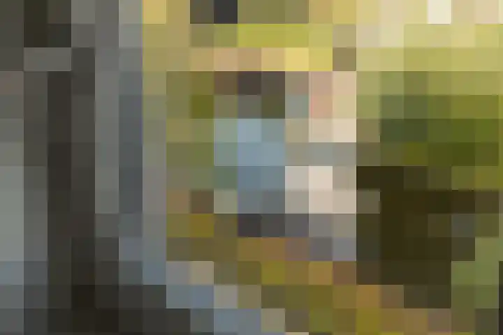 Noorder Jaagpad 15 Muiden thumbnail 32