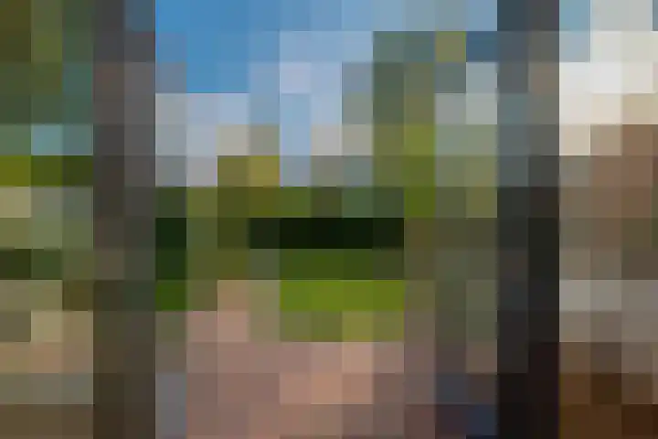 Noorder Jaagpad 15 Muiden thumbnail 5
