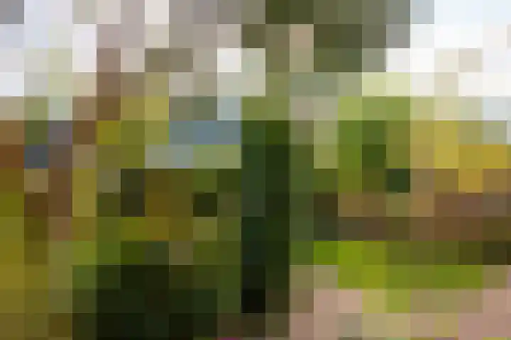 Noorder Jaagpad 15 Muiden thumbnail 55