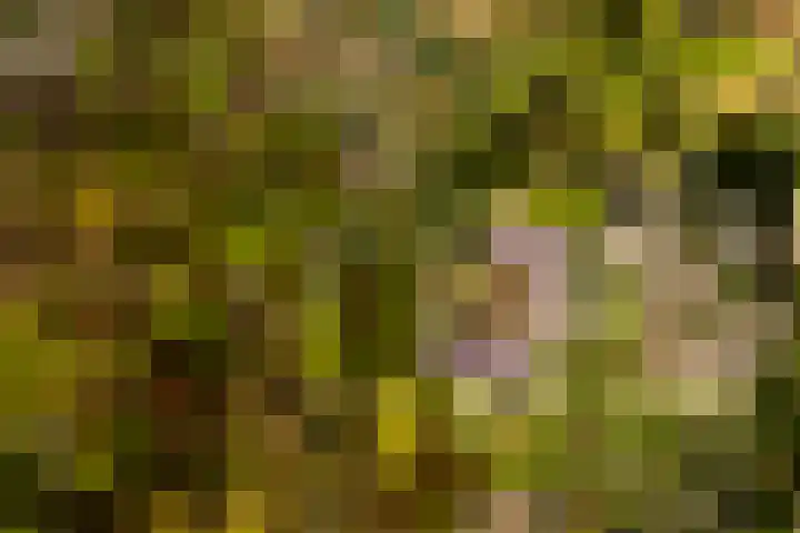 Noorder Jaagpad 15 Muiden thumbnail 57