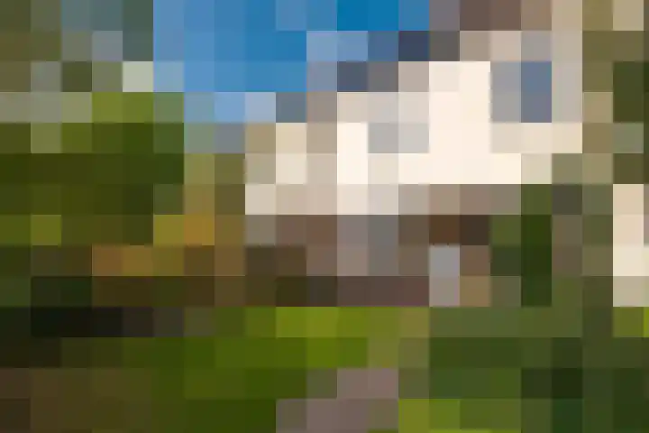 Noorder Jaagpad 15 Muiden thumbnail 6