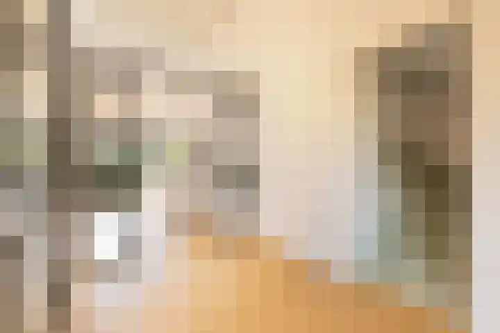 Noorder Jaagpad 15 Muiden thumbnail 60