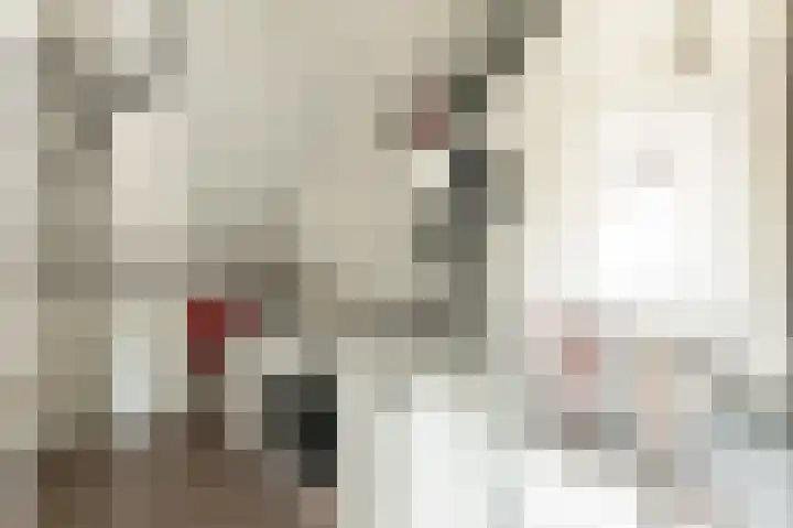 Noorder Jaagpad 15 Muiden thumbnail 64