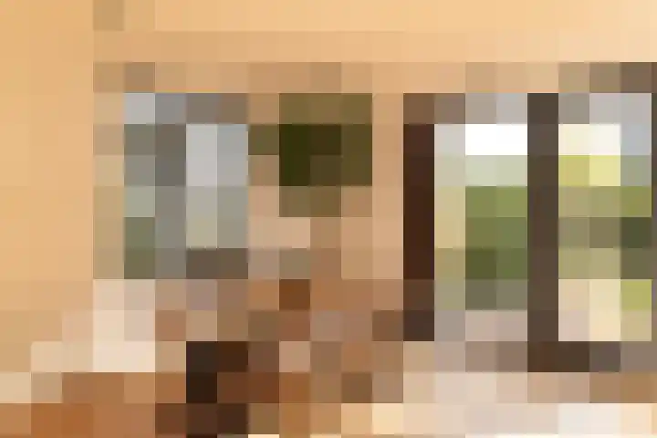 Noorder Jaagpad 15 Muiden thumbnail 7