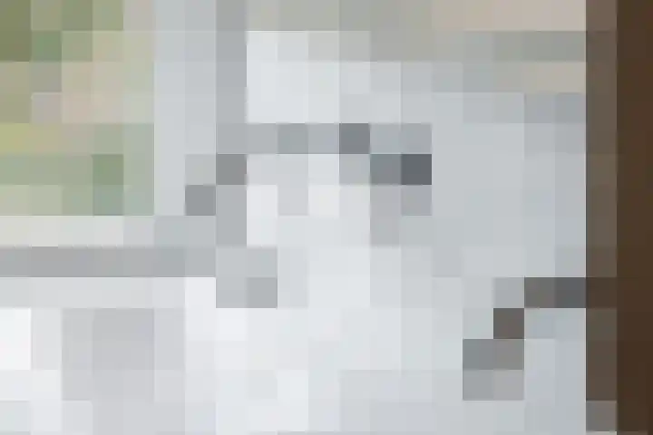 Noorder Jaagpad 15 Muiden thumbnail 71