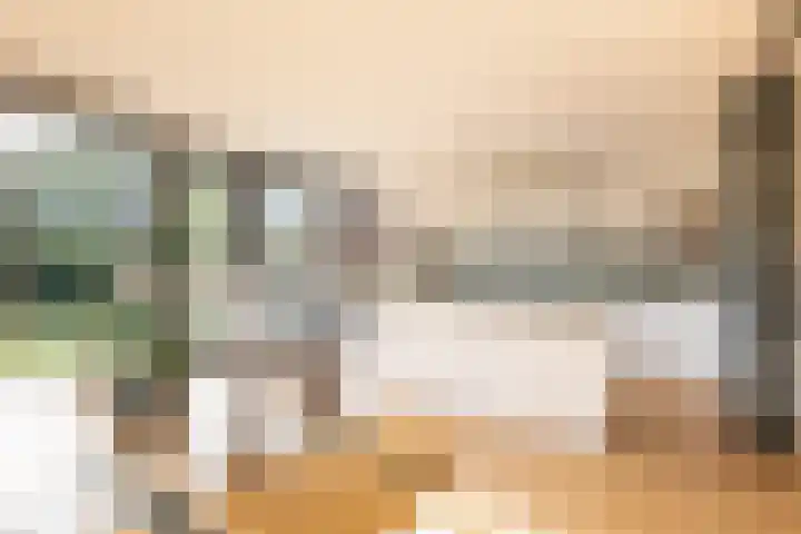 Noorder Jaagpad 15 Muiden thumbnail 8