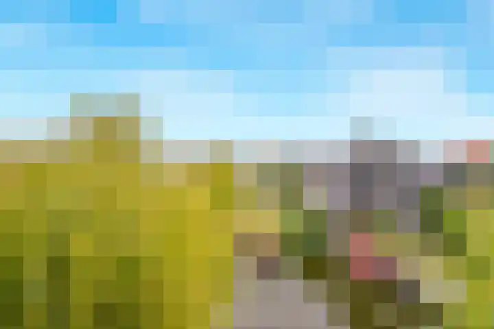 Noorder Jaagpad 21 Muiden thumbnail 30
