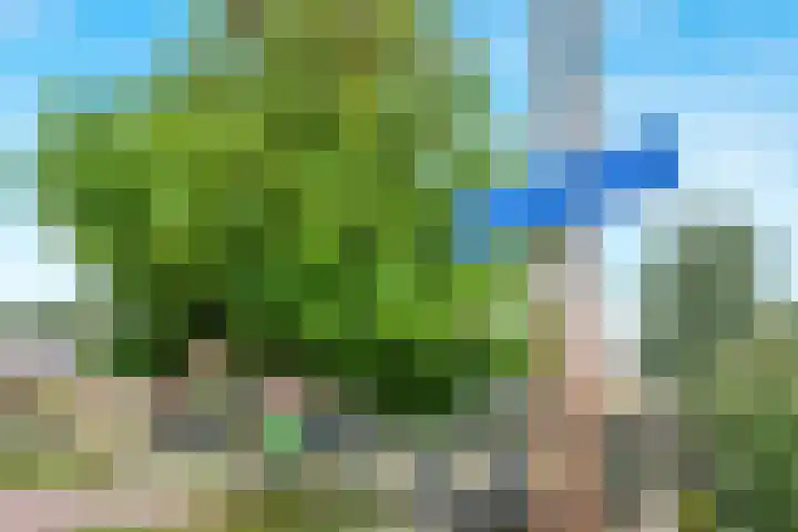 Noorder Jaagpad 21 Muiden thumbnail 36