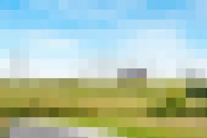 Noorder Jaagpad 21 Muiden thumbnail 40