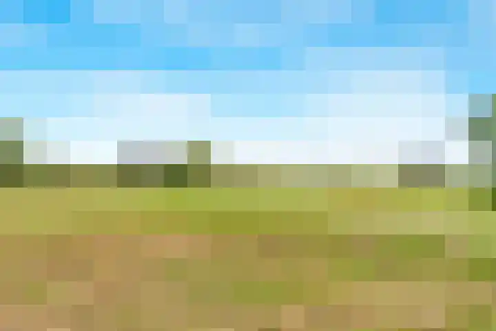 Noorder Jaagpad 21 Muiden thumbnail 41