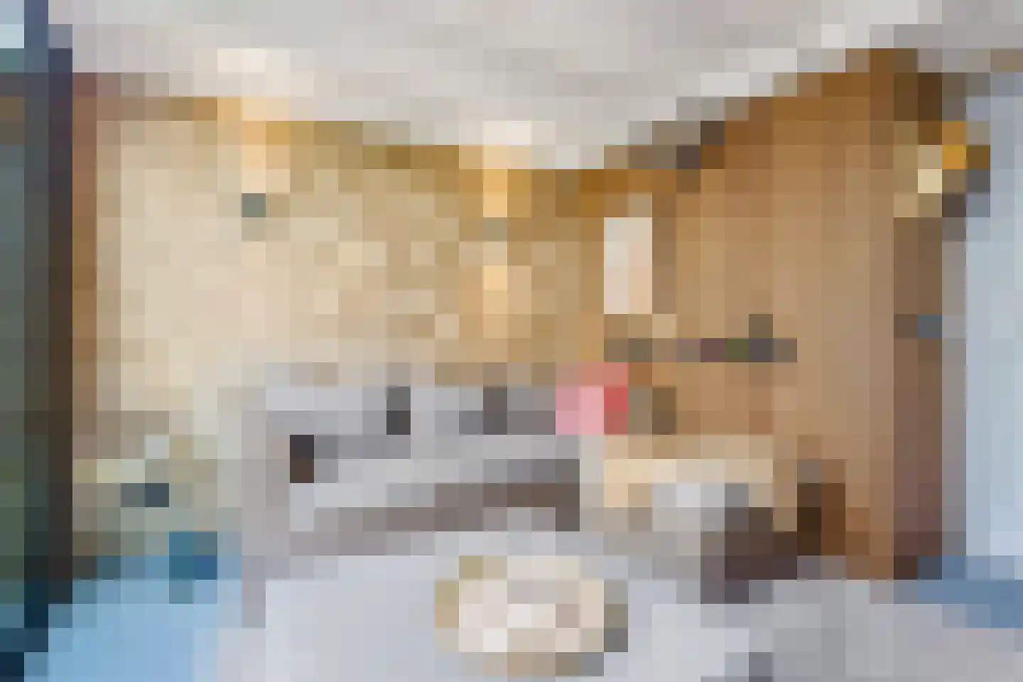 Noorder Jaagpad 27 Muiden thumbnail 29