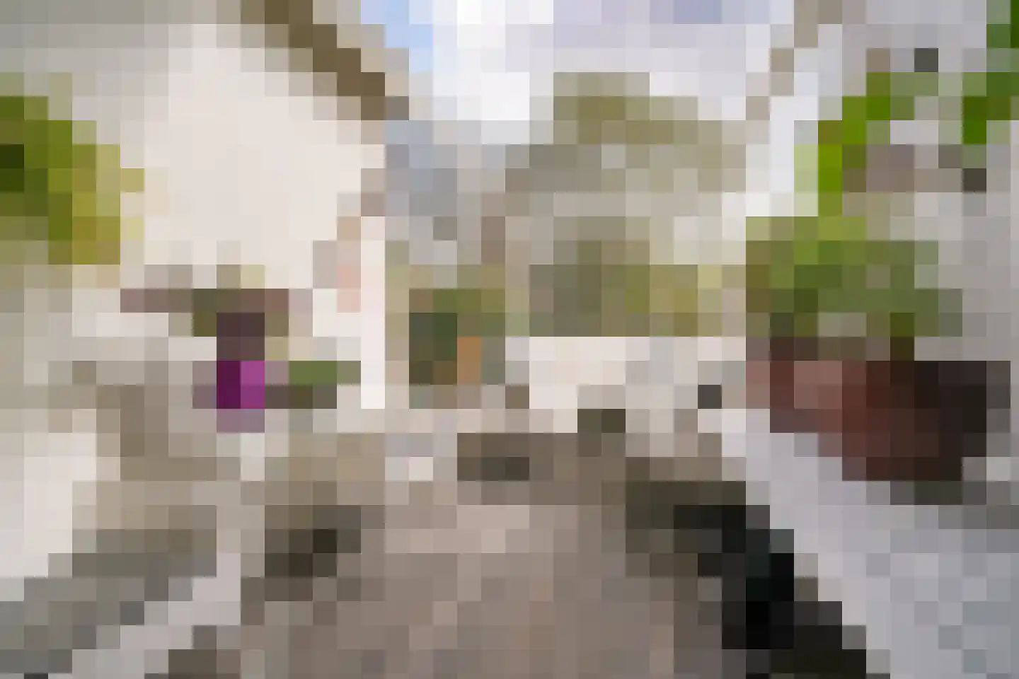 Noorder Kerkedijk 97 Rotterdam thumbnail 12
