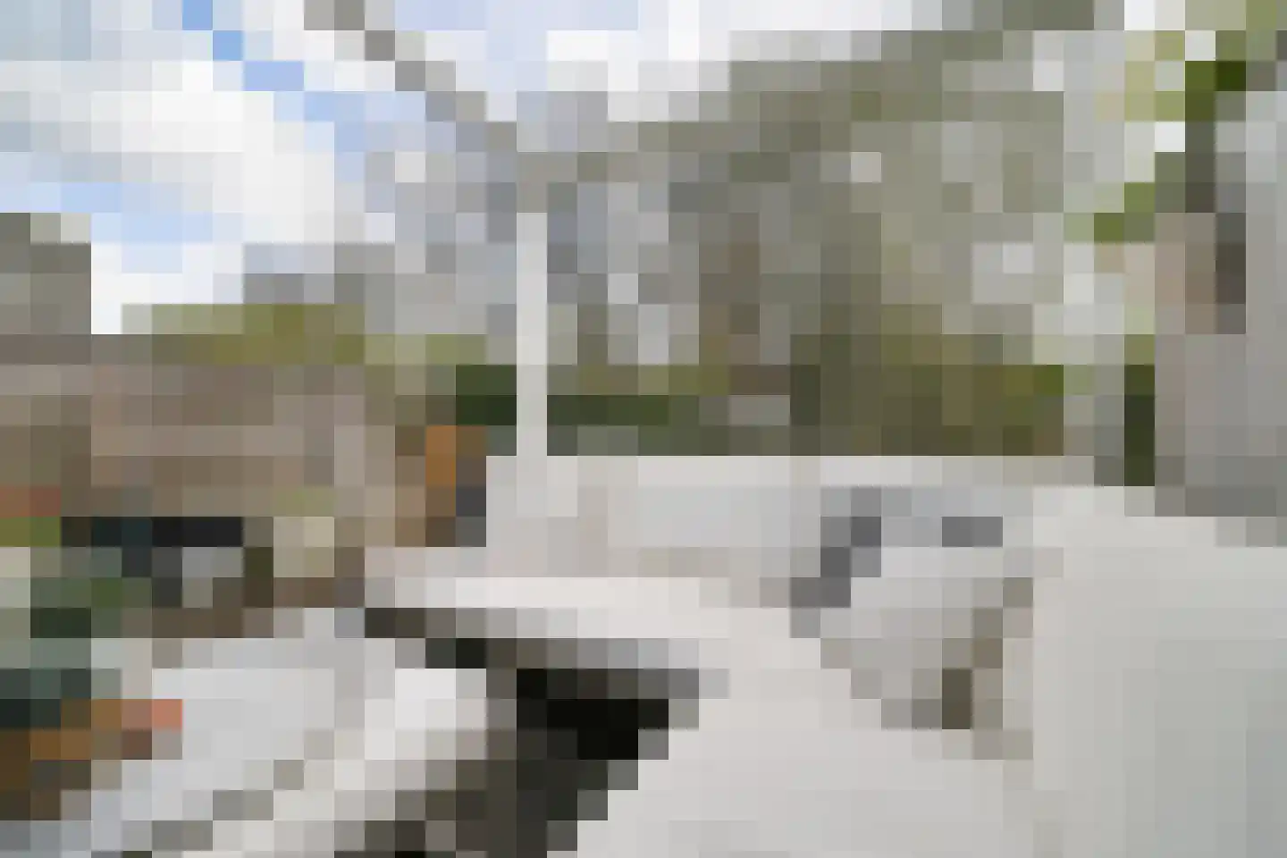 Noorder Kerkedijk 97 Rotterdam thumbnail 14