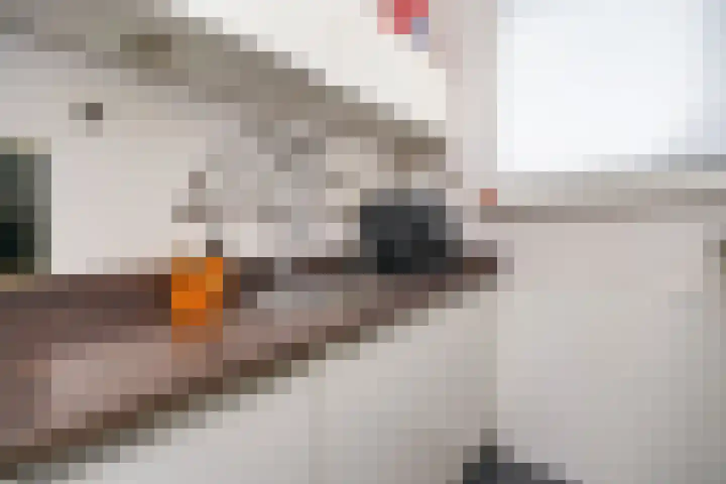 Noorder Kerkedijk 97 Rotterdam thumbnail 18