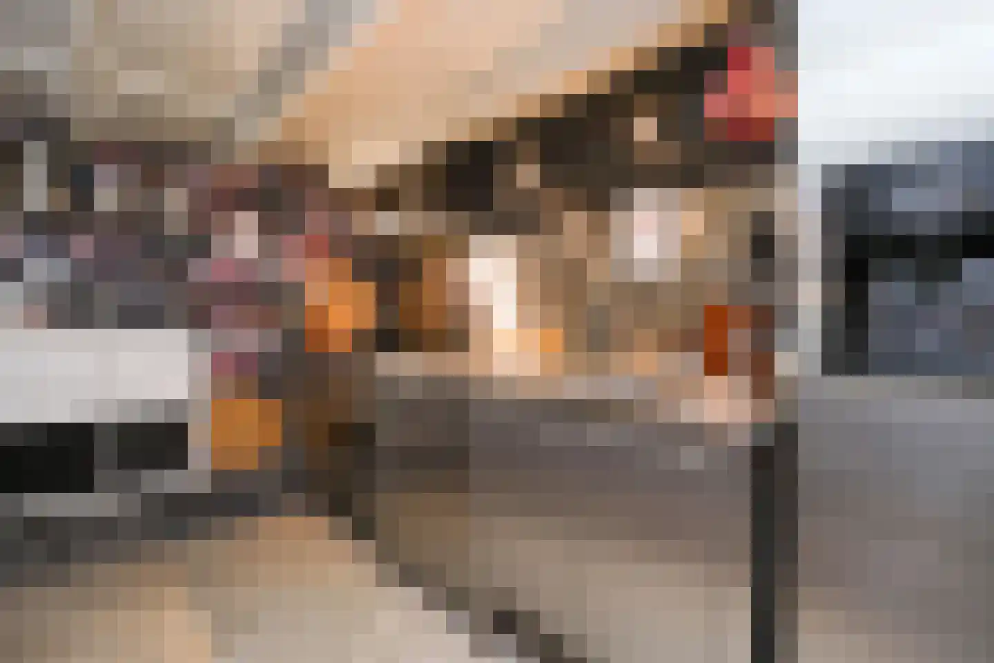 Noorder Kerkedijk 97 Rotterdam thumbnail 20