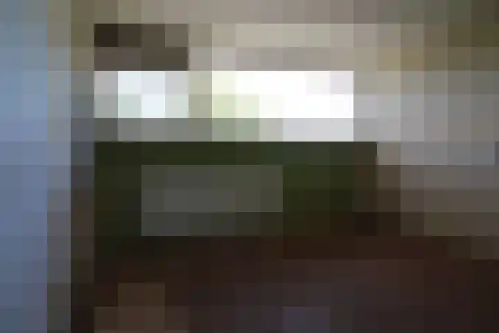 Noorder Koeslag 22 Wijhe thumbnail 13