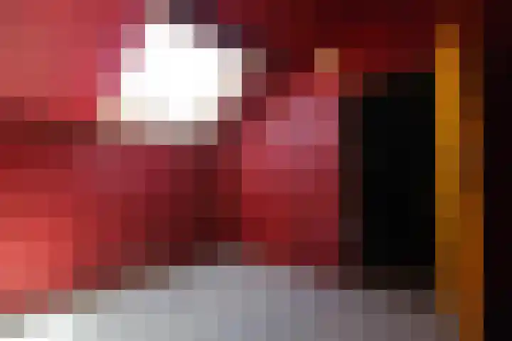 Noorder Koeslag 22 Wijhe thumbnail 15