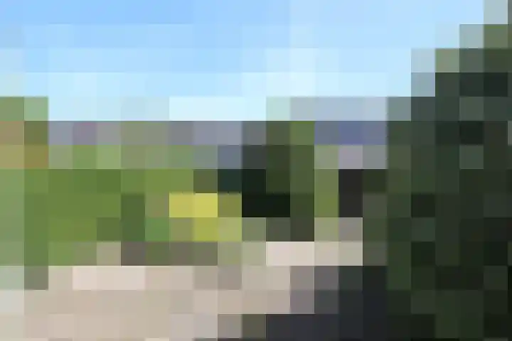 Noorder Koeslag 22 Wijhe thumbnail 16