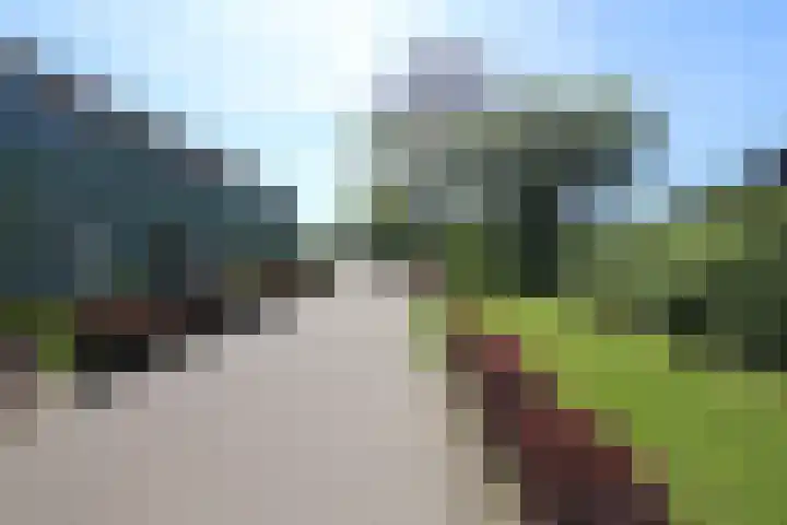 Noorder Koeslag 22 Wijhe thumbnail 4