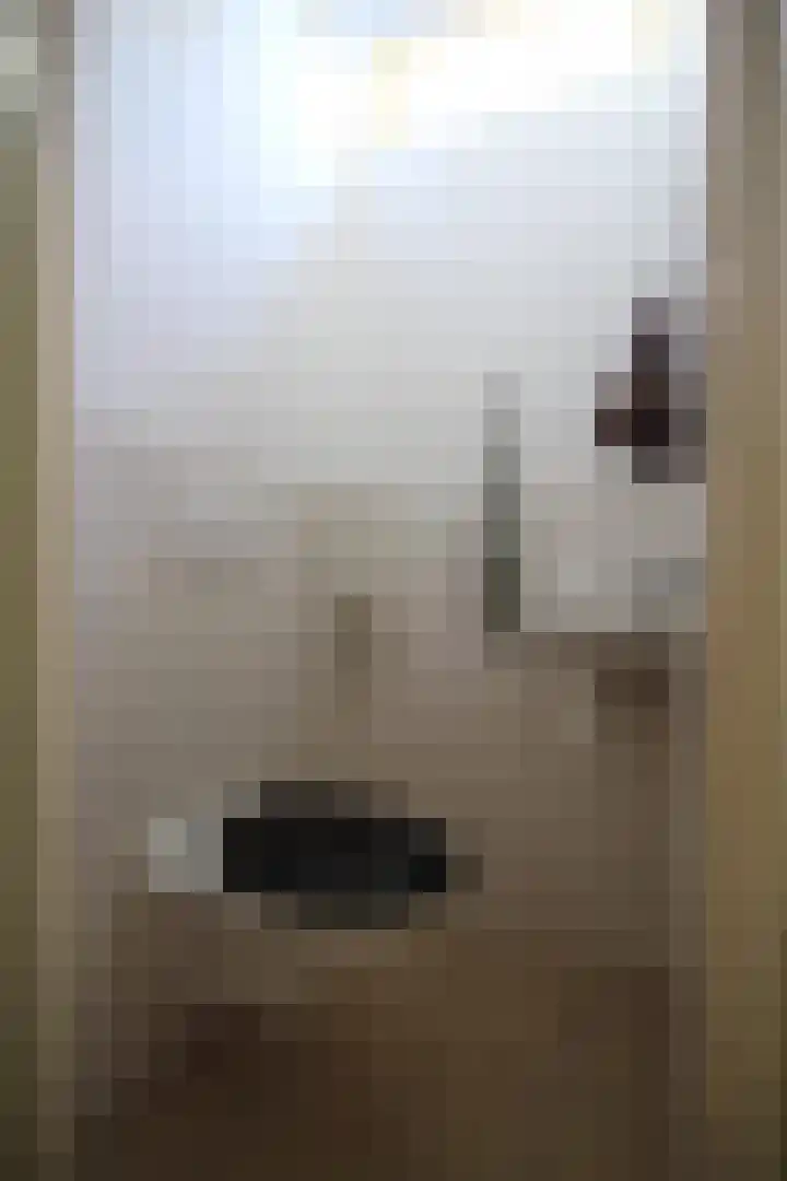 Noorder Koeslag 22 Wijhe thumbnail 5