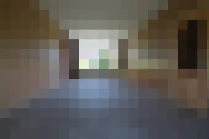 Noorder Koeslag 22 Wijhe thumbnail 6