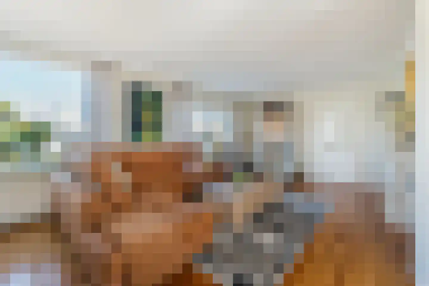 Noorder Leidsevaart 5 Hillegom thumbnail 6