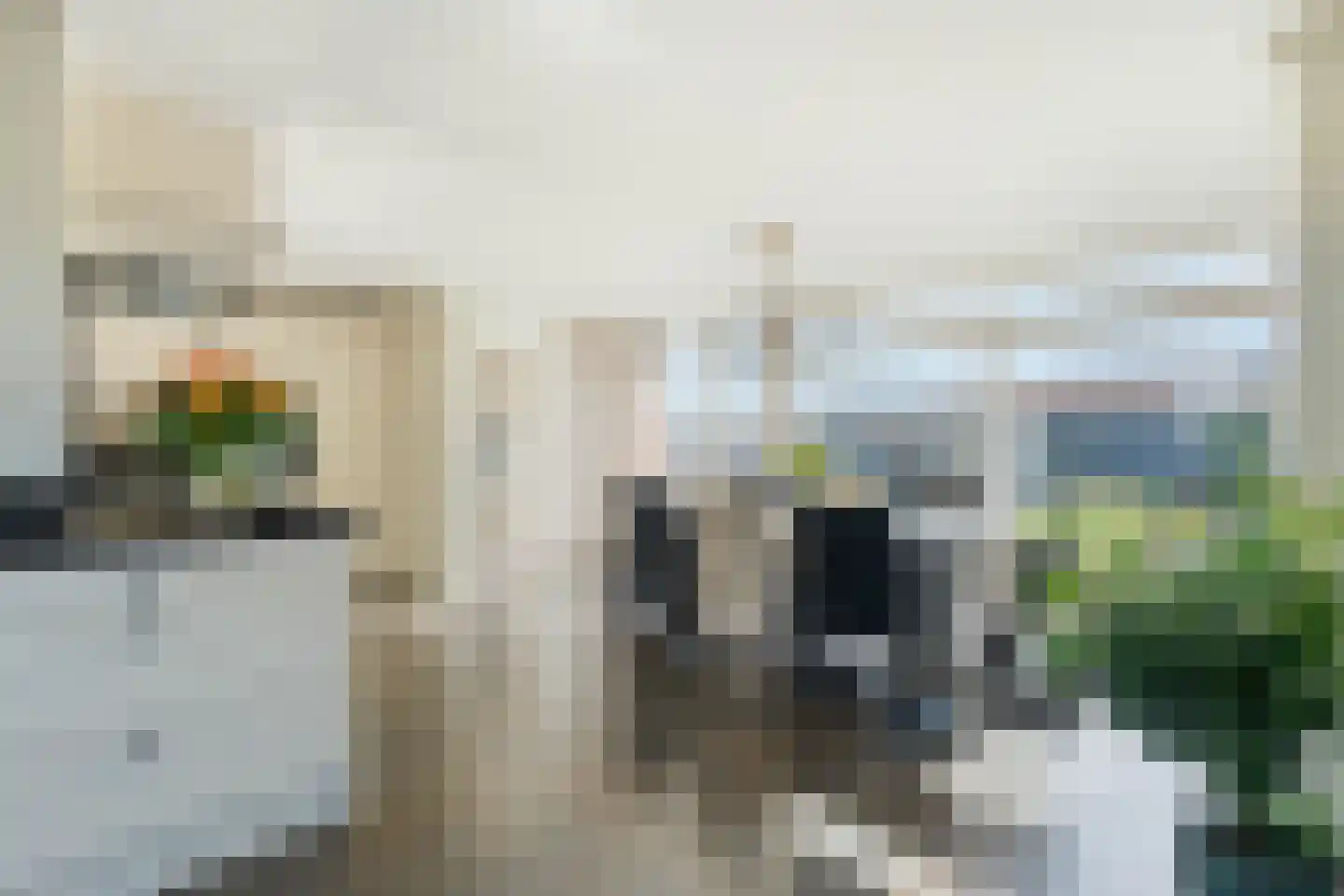 Noorder Leidsevaart 5 Hillegom thumbnail 8