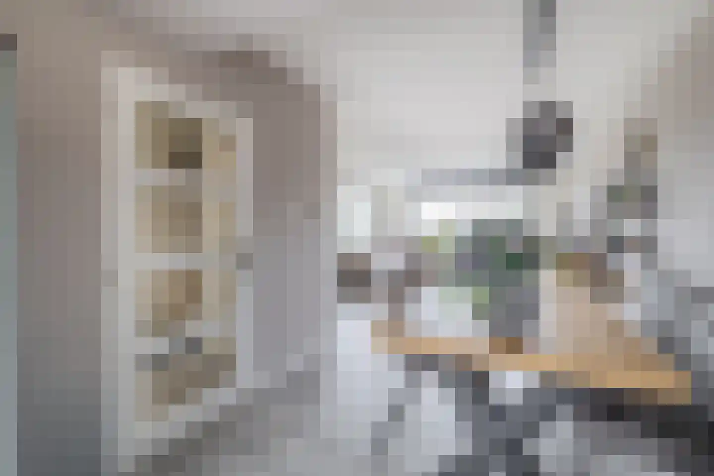 Noorder Leidsevaart 6 Hillegom thumbnail 10