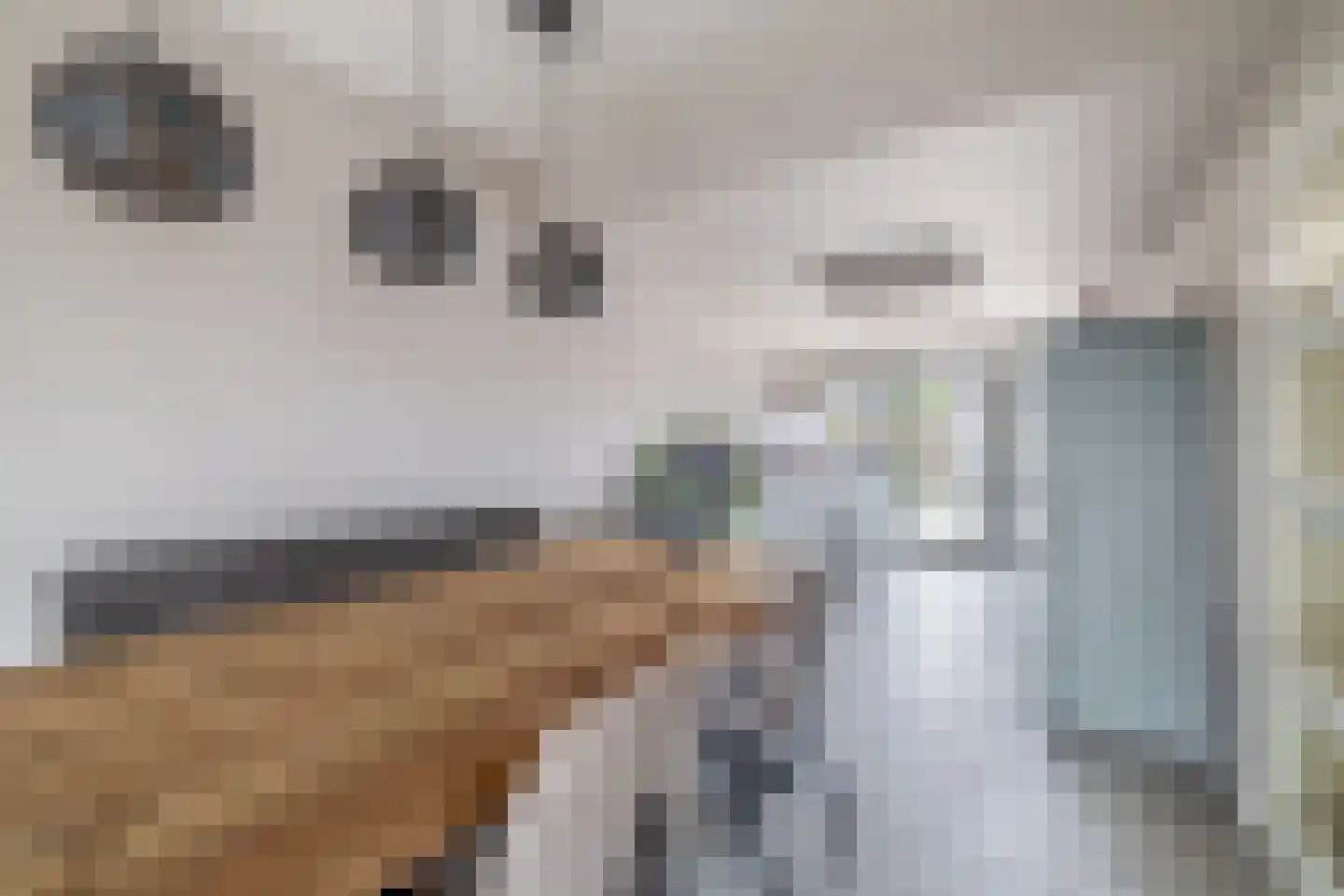 Noorder Leidsevaart 6 Hillegom thumbnail 12