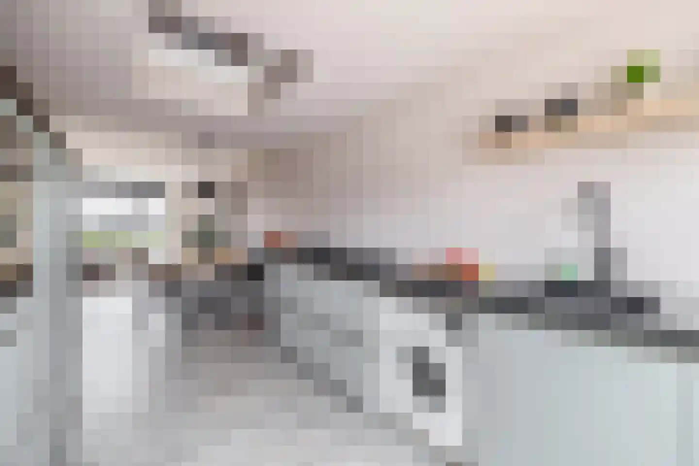Noorder Leidsevaart 6 Hillegom thumbnail 15