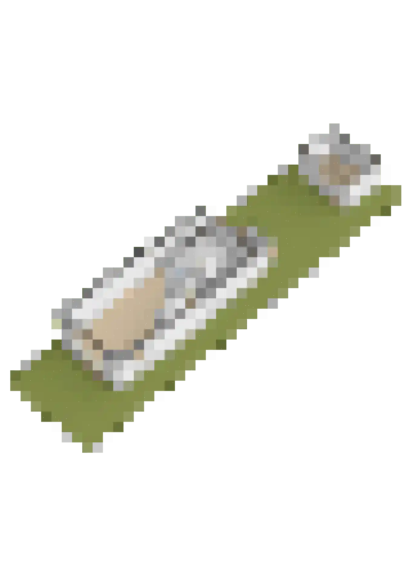 Noorder Leidsevaart 6 Hillegom thumbnail 48