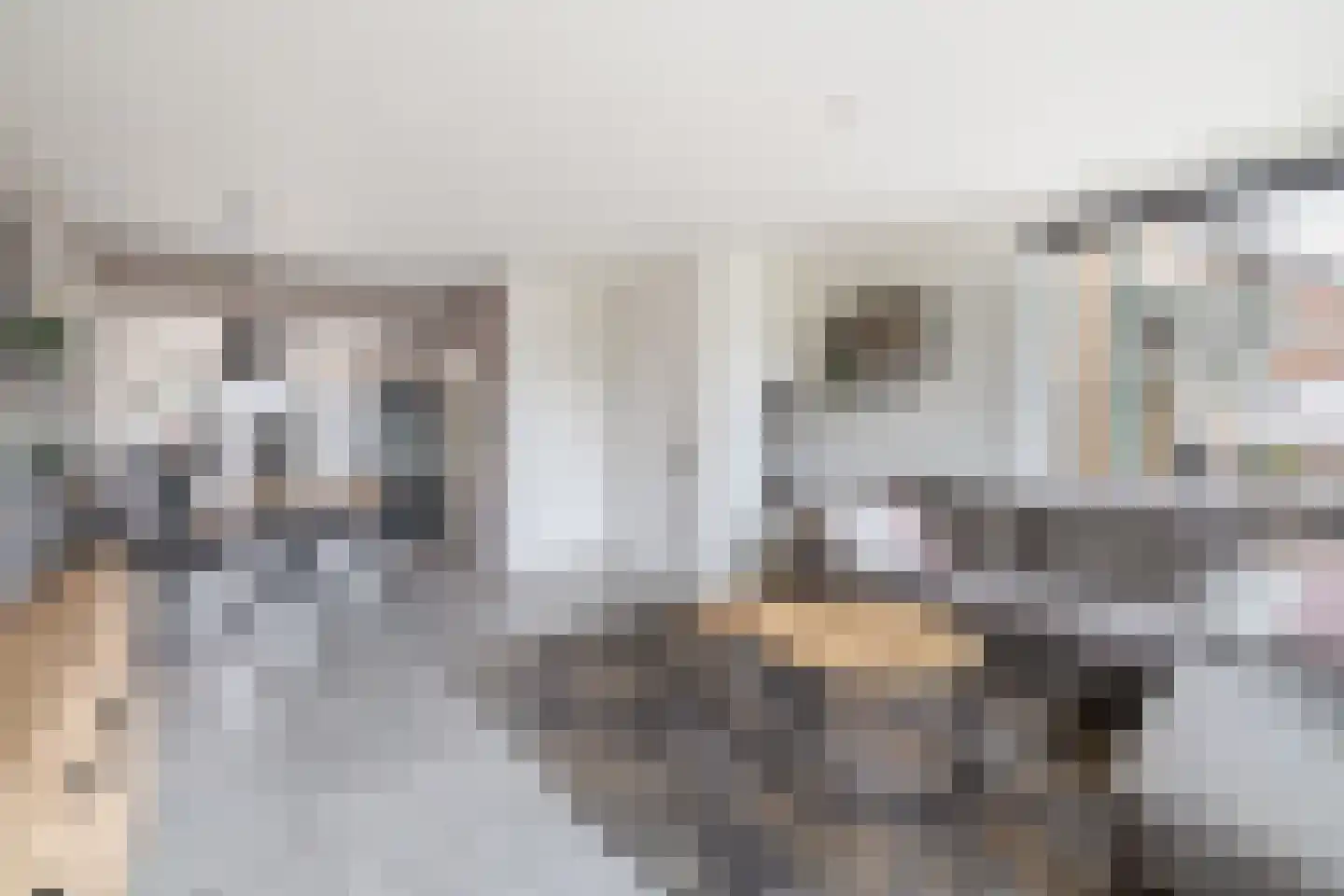 Noorder Leidsevaart 6 Hillegom thumbnail 5