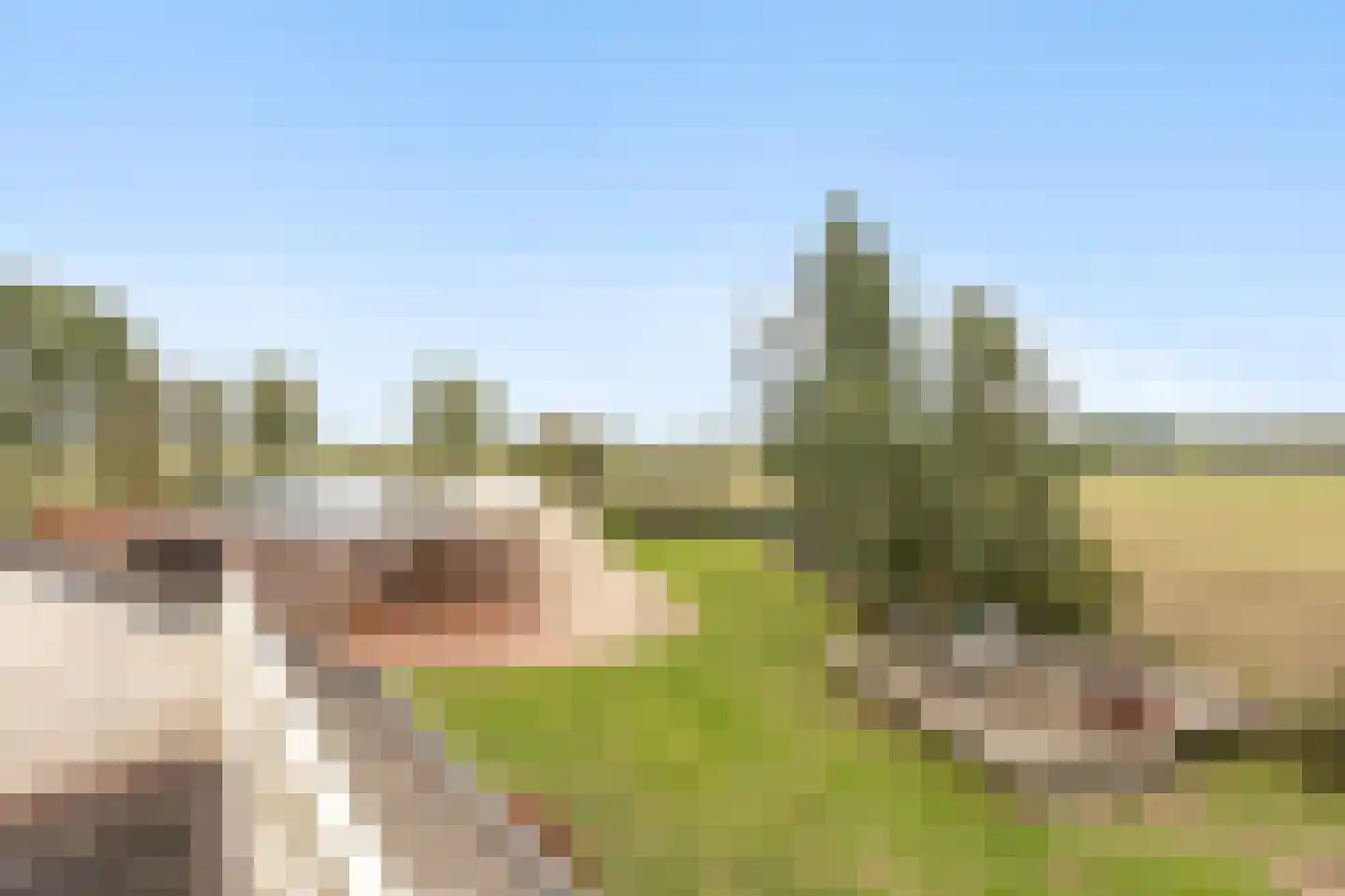 Noorder Markweg 14 Loerbeek thumbnail 32