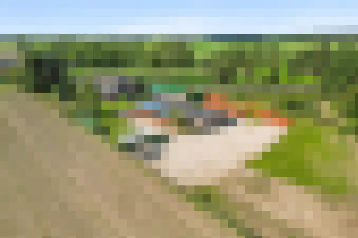 Noorder Markweg 14 Loerbeek thumbnail 45