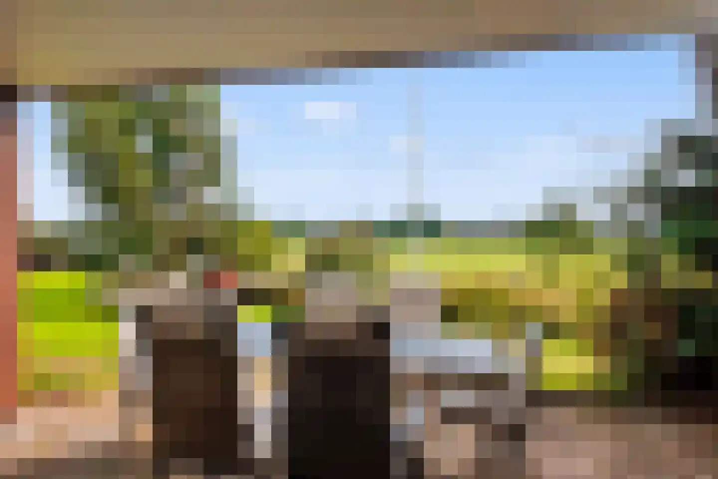 Noorder Markweg 14 Loerbeek thumbnail 7