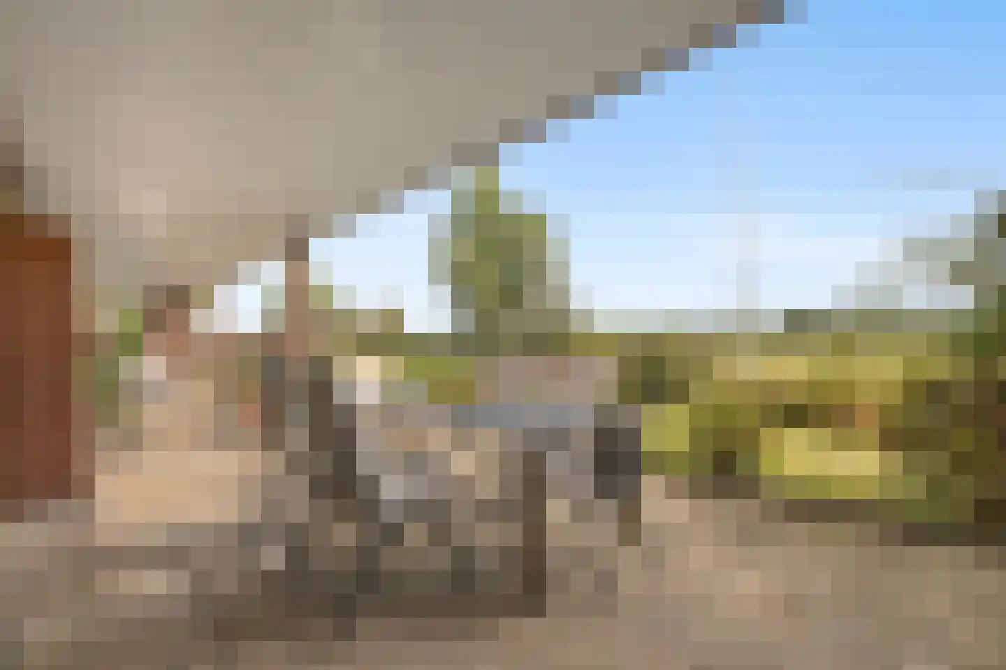 Noorder Markweg 14 Loerbeek thumbnail 8