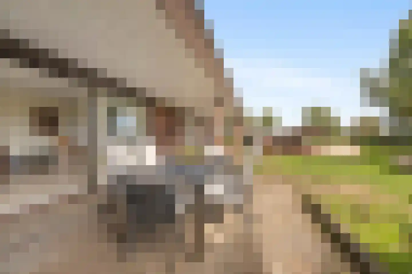 Noorder Markweg 14 Loerbeek thumbnail 9