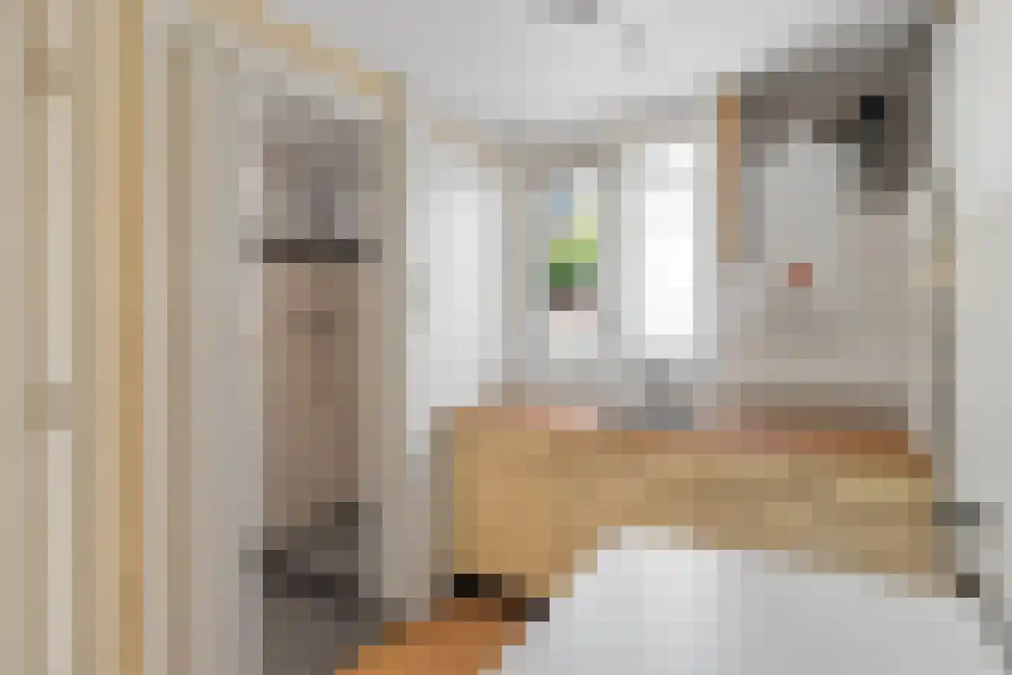 Noorder Parallelweg 16 Velp thumbnail 14
