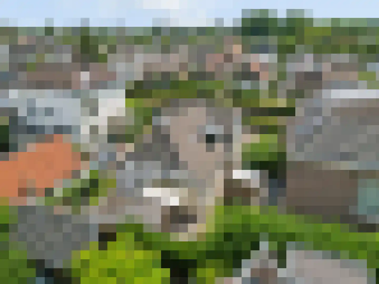 Noorder Parallelweg 16 Velp thumbnail 28