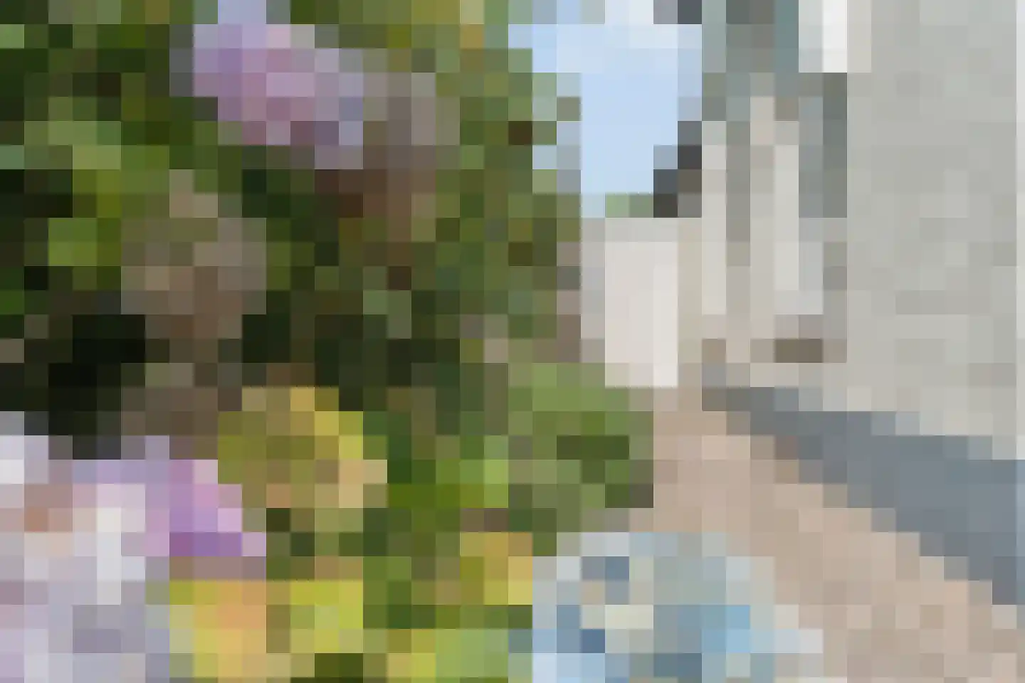 Noorder Parallelweg 16 Velp thumbnail 4