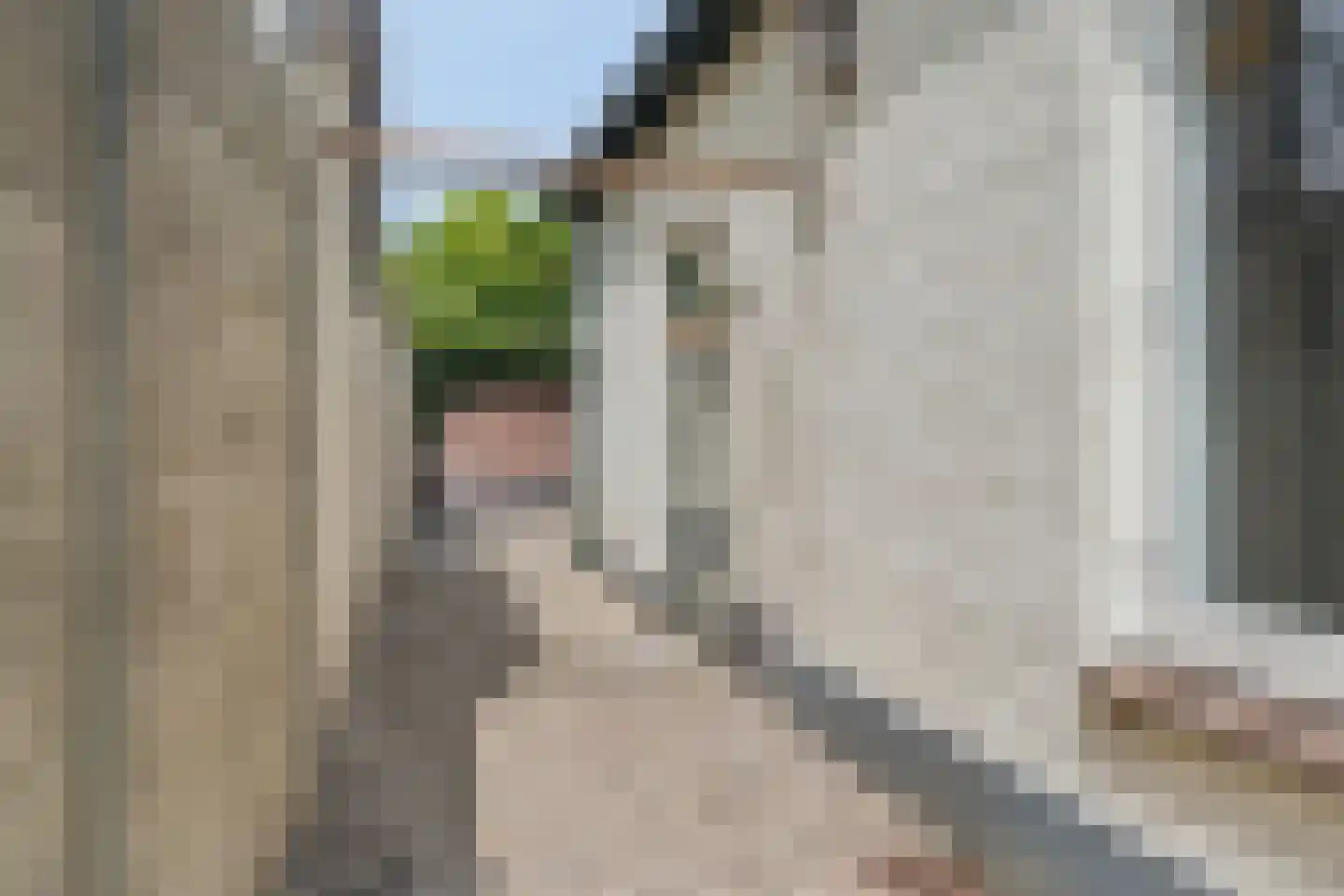 Noorder Parallelweg 16 Velp thumbnail 5