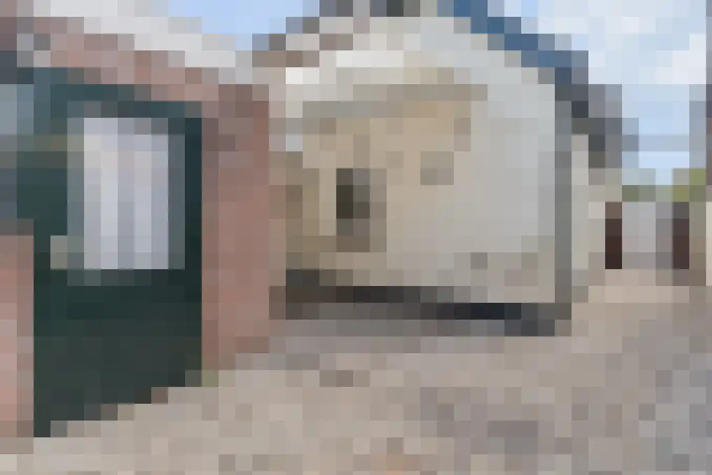 Noorder Parallelweg 16 Velp thumbnail 8