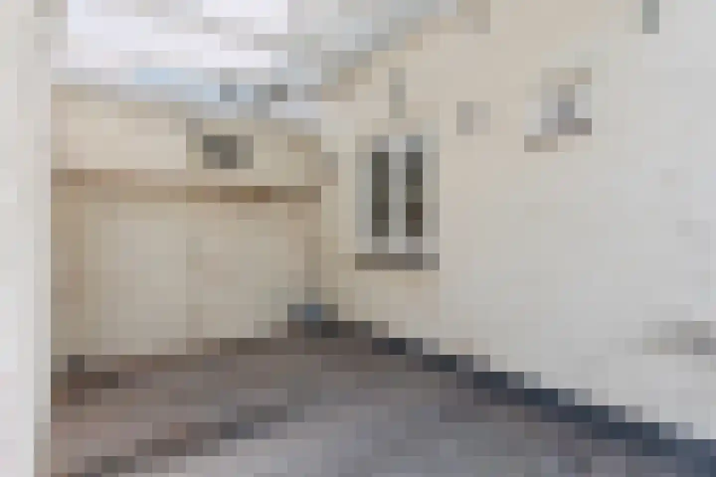 Noorder Parallelweg 16 Velp thumbnail 9