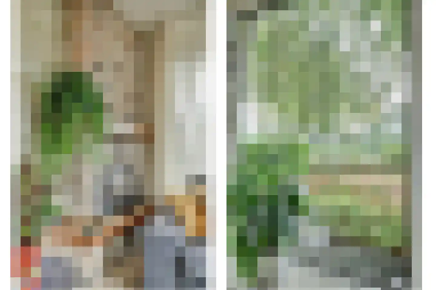 Noorder Parallelweg 51 Waalwijk thumbnail 5