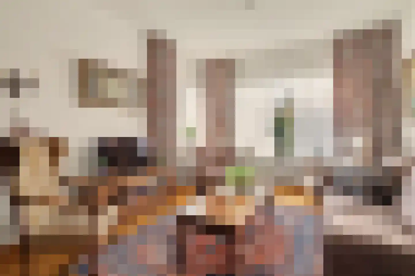 Noorder Parallelweg 89 Waalwijk thumbnail 10