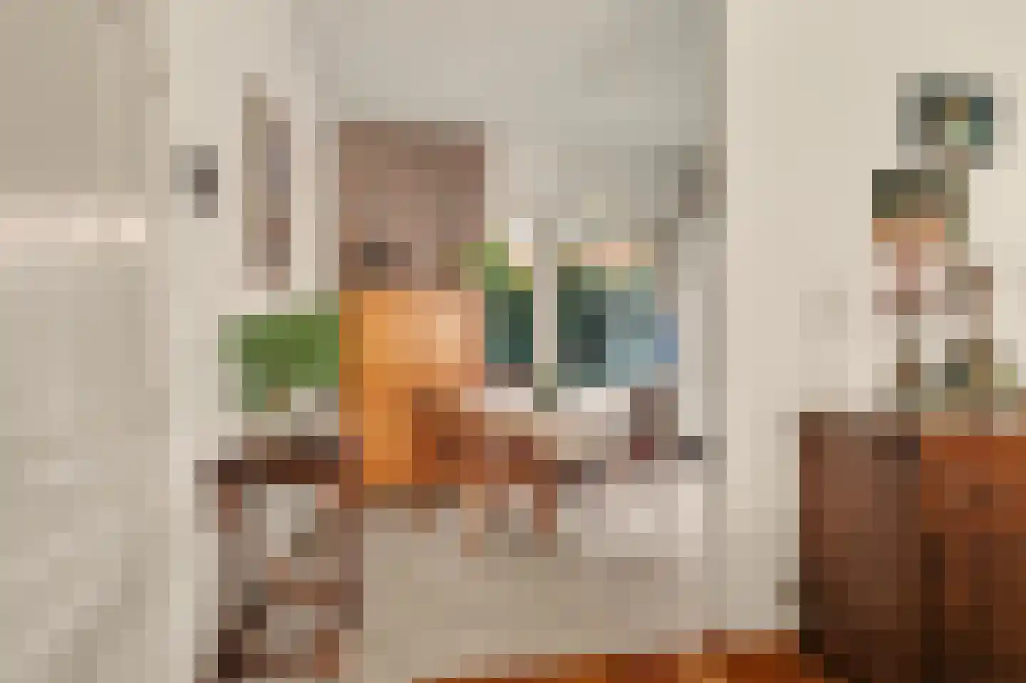 Noorder Parallelweg 89 Waalwijk thumbnail 12