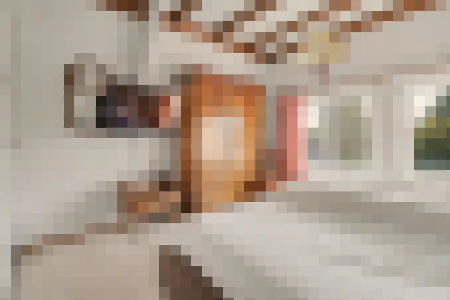 Noorder Parallelweg 89 Waalwijk thumbnail 17