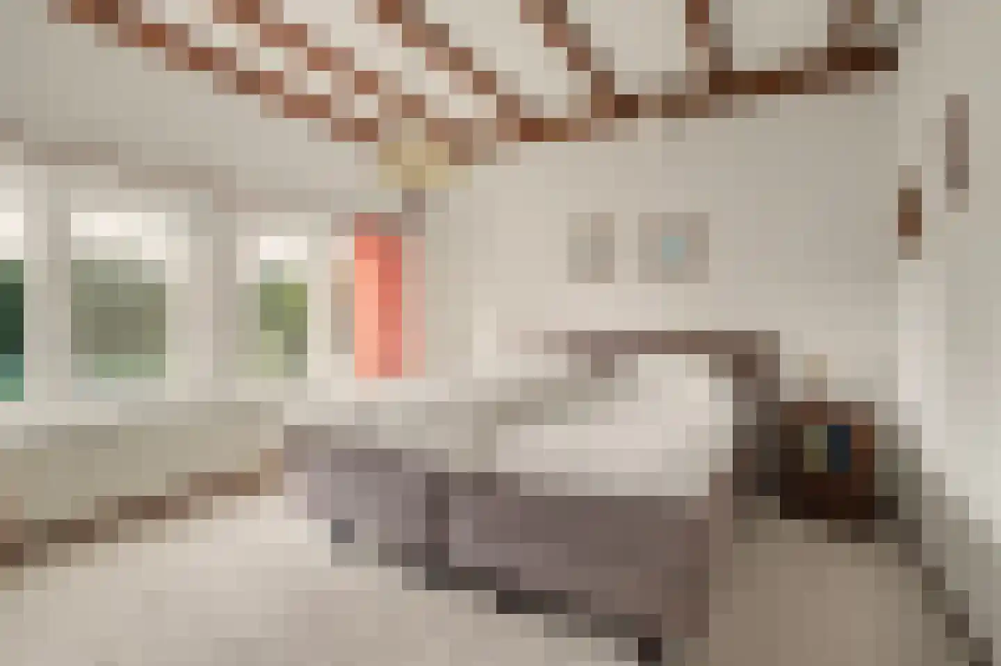 Noorder Parallelweg 89 Waalwijk thumbnail 18