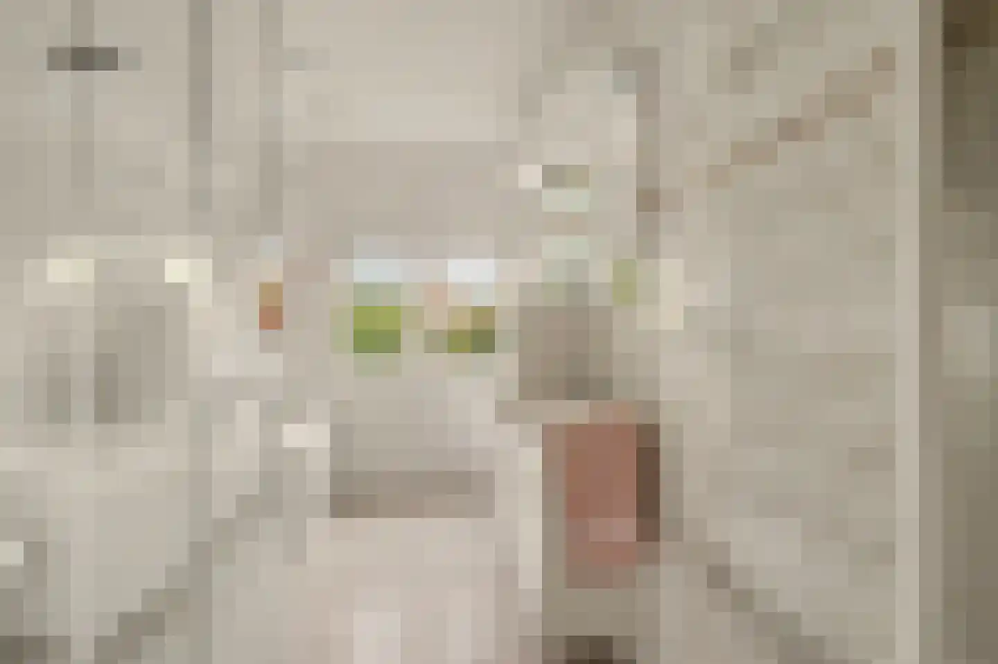 Noorder Parallelweg 89 Waalwijk thumbnail 5